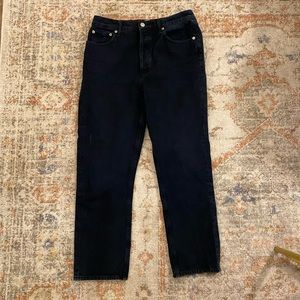 AGOLDE Riley High Rise Straight Leg Crop